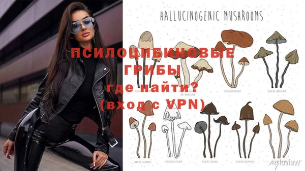 мескалин Верея